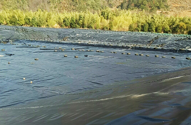 福建蓄水池铺了防渗膜的案例.jpg